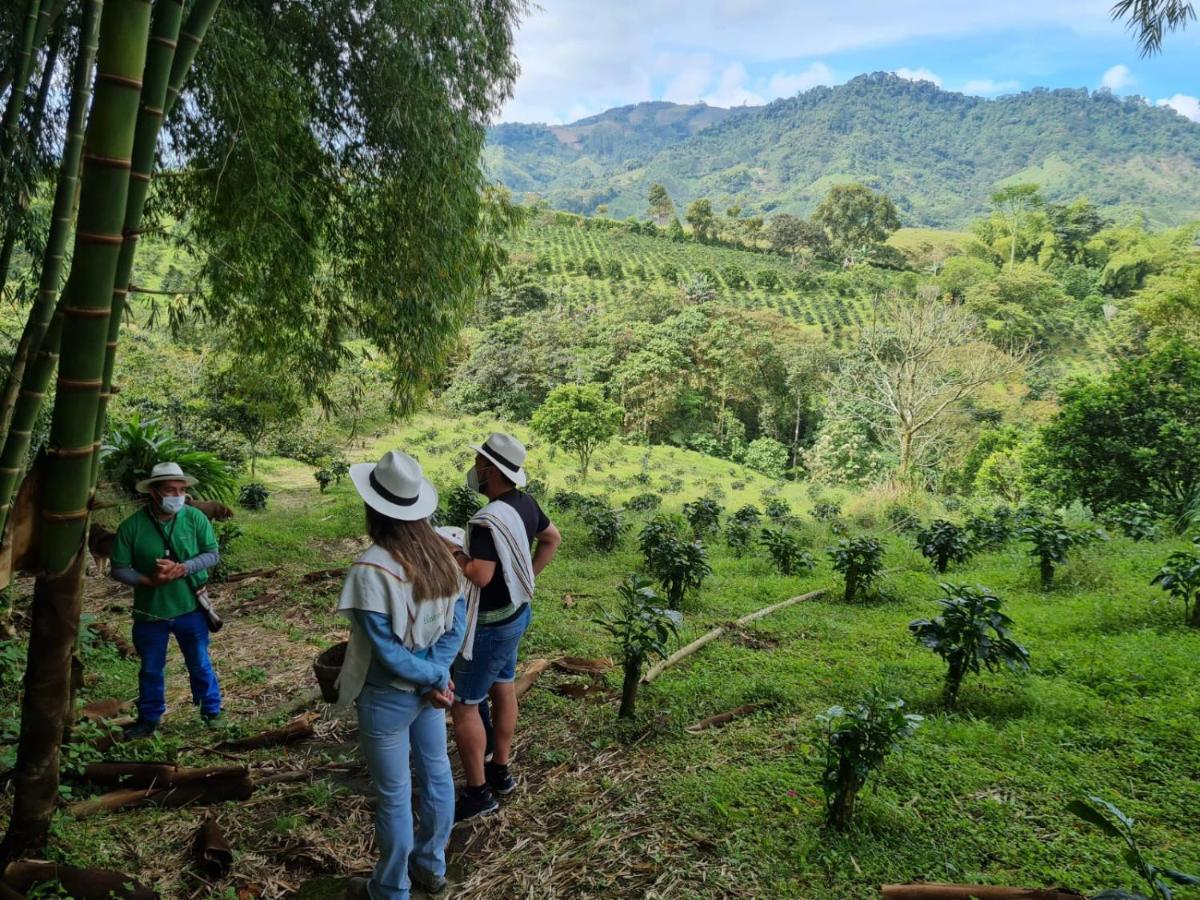 Finca Del Cafe - Casa Typica 산타 로사 데 카발 외부 사진